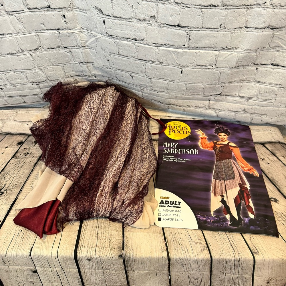Hocus Pocus Mary Sanderson Women’s Costume